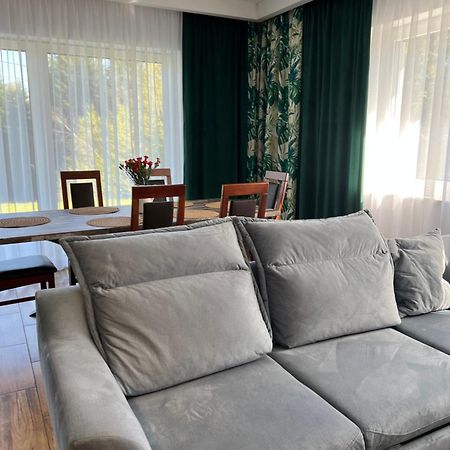 Ferienwohnung Dom Na Borowkowym Wzgorzu Palesnica Exterior foto