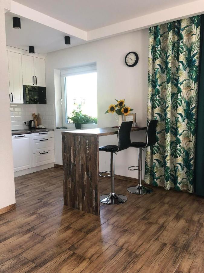 Ferienwohnung Dom Na Borowkowym Wzgorzu Palesnica Exterior foto
