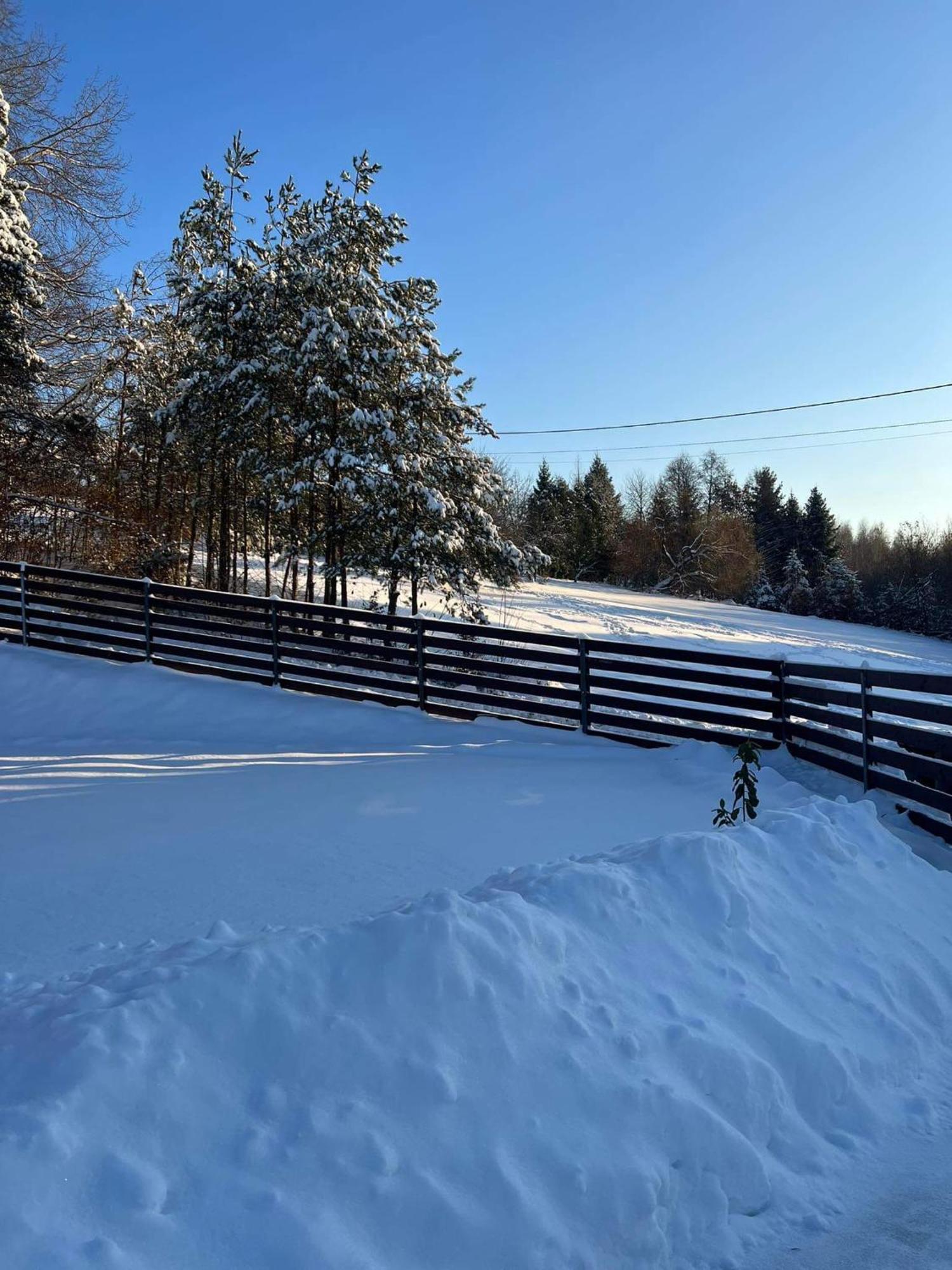 Ferienwohnung Dom Na Borowkowym Wzgorzu Palesnica Exterior foto